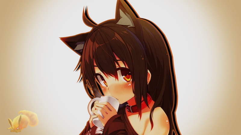 动漫少女壁纸合集！猫耳萝莉搭配暖橙背景超治愈