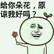 送你朵小花表情包合集来啦