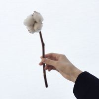 手控党看过来！14张清新风女生手部高清头像合集