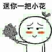 送你朵小花表情包合集来啦