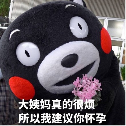 搞怪表情包合集：恋爱太麻烦？不如试试这套神转折熊本熊表情