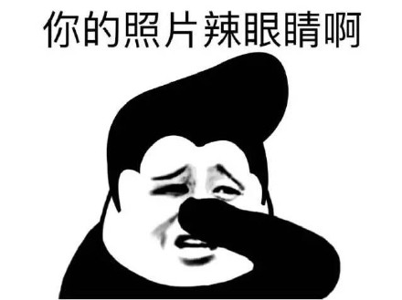 熊猫金馆长整活表情包：你长得这么帅 我能叫你旺财吗？