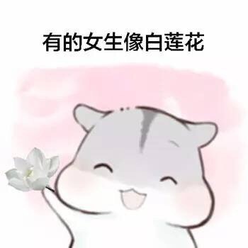 女生版仓鼠斗图梗！“有的女生像白莲花”表情包整活来了