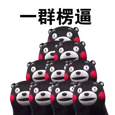 熊本熊懵逼楞逼表情包合集来了