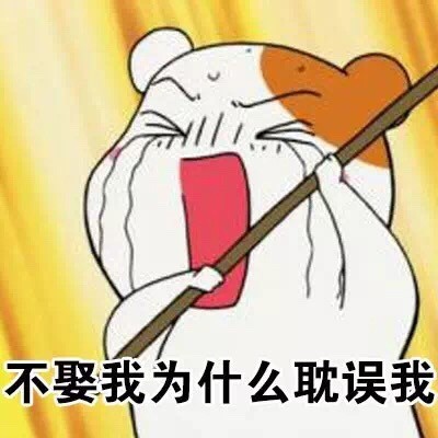 仓鼠管家搞怪表情包合集