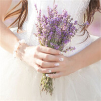 12张手拿薰衣草的唯美女生头像合集