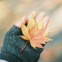 女生手部唯美意境头像合集 21张好看头像分享