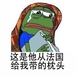 我家马建国丢了（frog）这套表情包火了