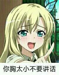 “你胸太小不要讲话”美女表情包合集