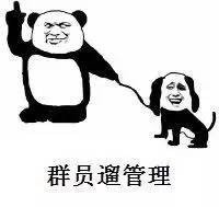 群员整活套路管理！这套金馆长熊猫人表情包太好用了