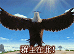 愤怒的小鸟QQ表情包合集