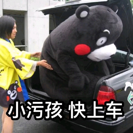 请问帅哥，你的心怎么走？熊本熊撩人情话表情包来了