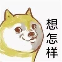 单身狗小黄表白表情包合集来啦