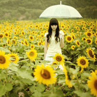 14张氛围感拉满的向日葵女生头像合集