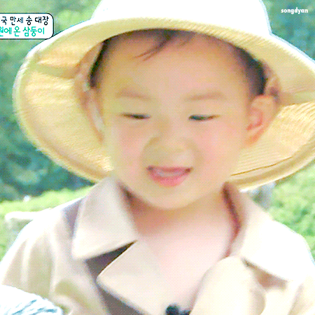 宋民国干饭表情包合集，可爱到想rua