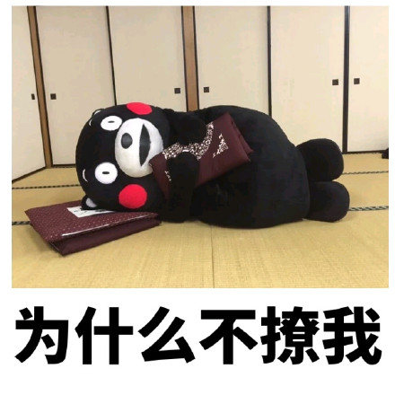 请问帅哥，你的心怎么走？熊本熊撩人情话表情包来了