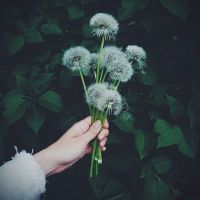 手控党看过来！14张清新风女生手部高清头像合集