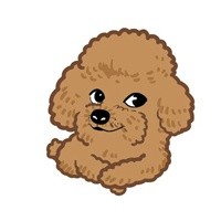 doge狗狗表情包合集来啦