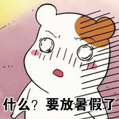 仓鼠管家学习表情包来啦