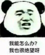 火了十几年的熊猫头金馆长，这次又整活了