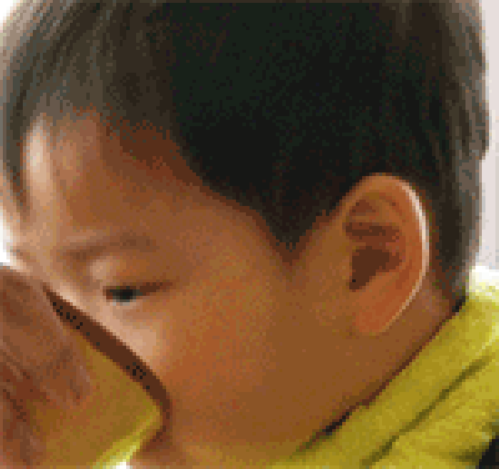 宋民国干饭表情包合集，可爱到想rua