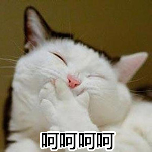 这款“大王叫我来巡山”表情包合集太适合斗图啦