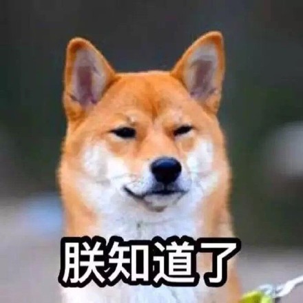 单身狗专属！这套又帅又机智的表情包火了