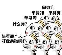 超全狗狗表情包合集！斗图就用这些汪星人梗图
