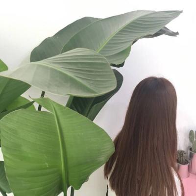 18张高清好看的女生唯美背影微信头像合集