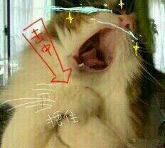 唐僧不取经了，就蹲这儿看你吹牛