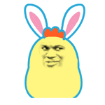 超治愈可爱兔子表情包合集