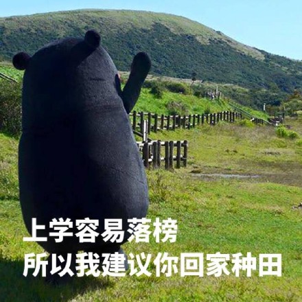 搞怪表情包合集：恋爱太麻烦？不如试试这套神转折熊本熊表情