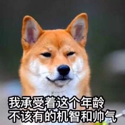 单身狗专属！这套又帅又机智的表情包火了