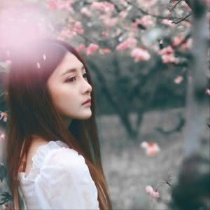 23张梦幻樱花女生头像！高清唯美氛围感拉满
