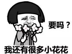 聊天送礼不用愁！这套“要吗？我还有很多小花花”表情包直接拿走