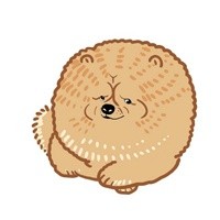 doge狗狗表情包合集来啦