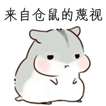 超治愈！这套仓鼠表情包太适合斗图了