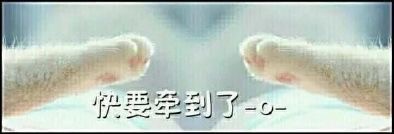 想牵你的手表情包合集