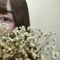 12张清新满天星女生头像合集 氛围感拉满的小清新头像