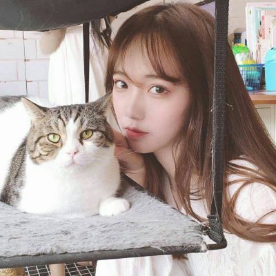 18张高清抱猫女生头像 温柔又治愈的微信头像合集