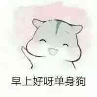 超治愈！这套仓鼠表情包太适合斗图了