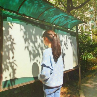 微信头像背影女生气质清新款 22张合集