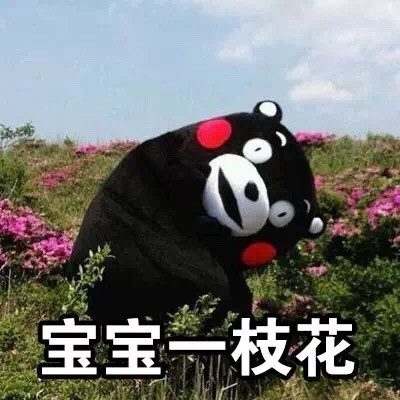用熊本熊怼人？百度搜不到的这套表情包，搜狗能找到