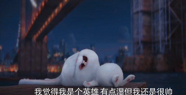 《爱宠大机密》机密兔表情包上线啦