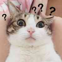 what the fuck？疑问表情包合集来了