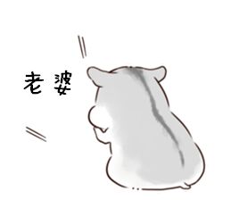 这款仓鼠表情包火了！台词是“说了多少次 老婆要听话”