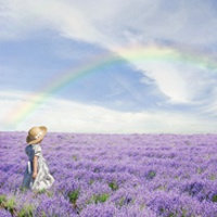 21张带薰衣草的唯美女生QQ头像合集