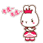 超可爱的LADYCCQQ表情包来啦