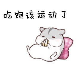 聊天斗图必备！仓鼠表情包合集整理好了
