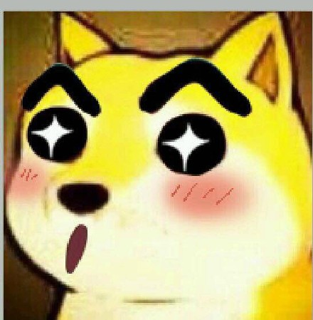 火出圈的大号萌版Doge表情包来啦！